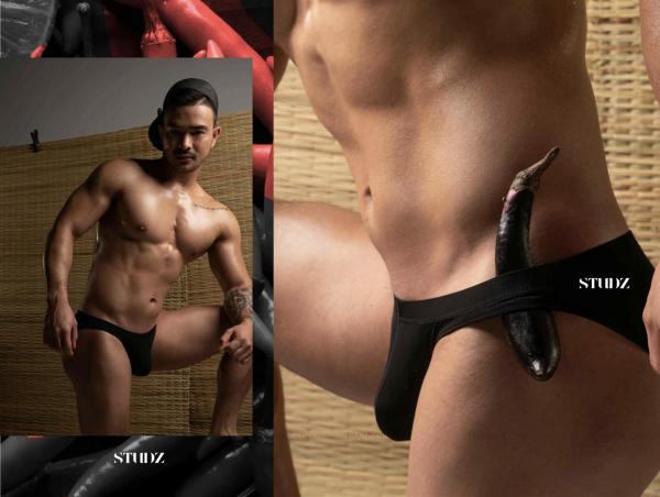STUDZ-01--Zesty--Ebook--Video-